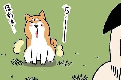 【漫画】第212話：知らない方が良かったかも…。野原でオシッコする柴犬さん【どんぐりちゃん】