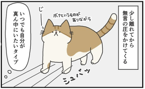 猫　圧力　漫画