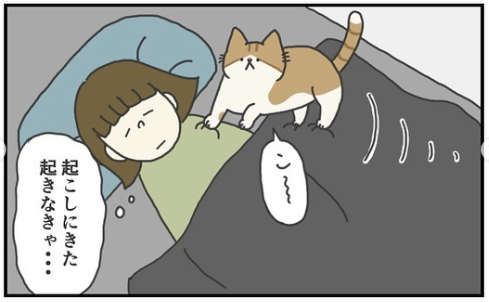 猫　起こす　漫画