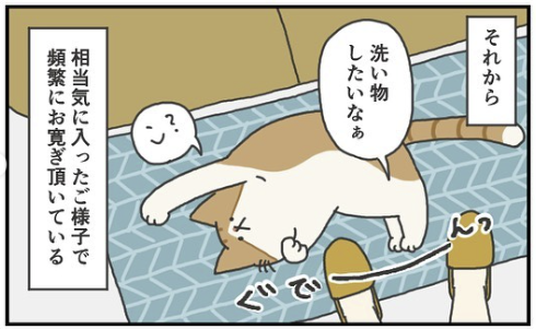 猫　寛ぐ　漫画