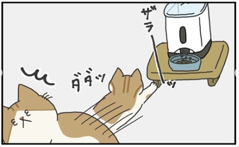 猫　反応　漫画