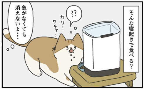 猫　寝起き　漫画