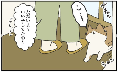 猫　歓迎　漫画