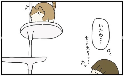 猫　キャットタワー　漫画