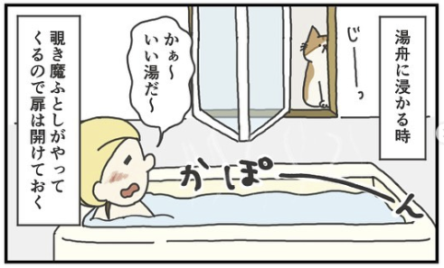 猫　お風呂　漫画