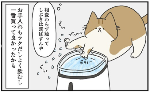 猫　しぶき　漫画