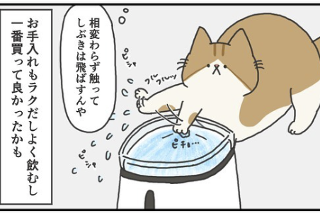 【漫画】第95話：「お手入れ簡単で水の音もしない♪」最高の自動給水器を手に入れた【ふとしくん】