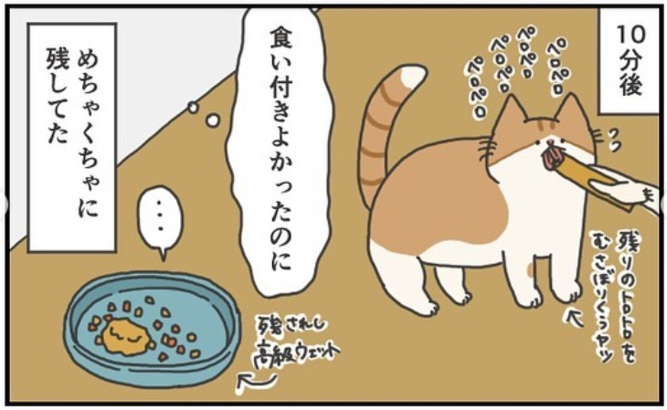 猫　食べ残し　漫画