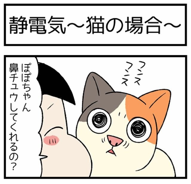 猫　キス　漫画