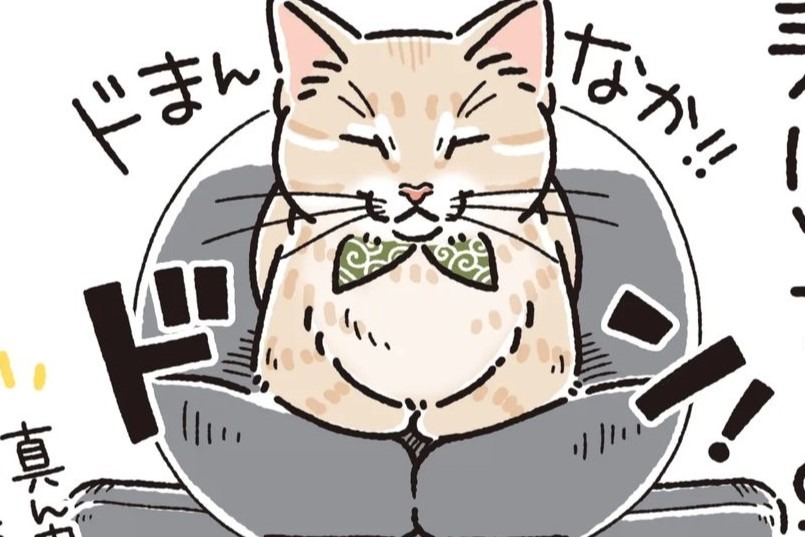 【漫画】第133話：「くぼみがいい感じニャ♪」ソファーのど真ん中でまったりする猫さん【麦くん】