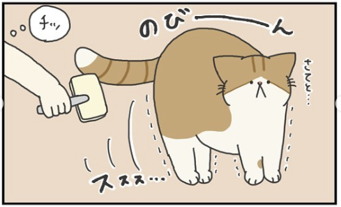 猫　のび　漫画
