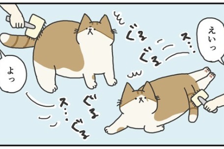 猫　かわす　漫画