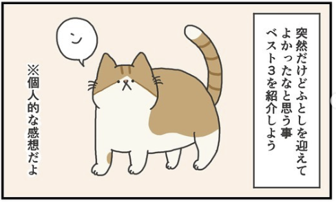 猫　お迎え　漫画