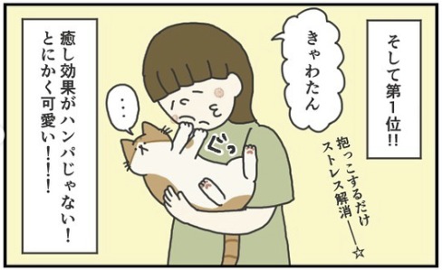 猫　癒し　漫画