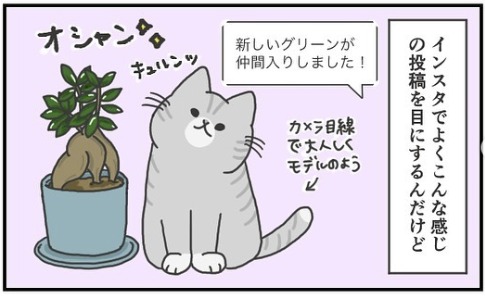 猫　インスタ　漫画