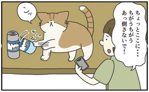 猫　倒す　漫画