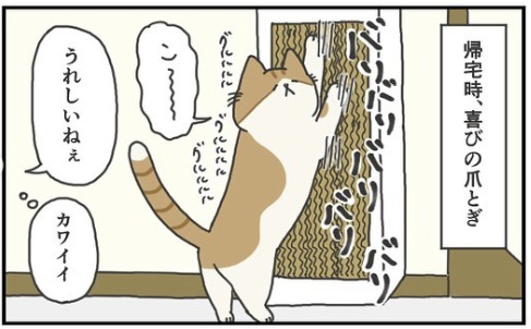 猫　喜び　漫画