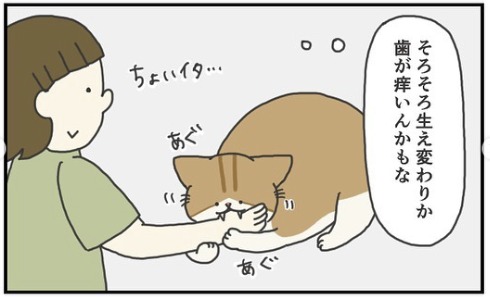 猫　痒い　漫画