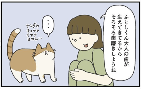 猫　歯磨き　漫画