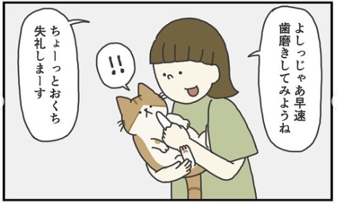 猫　歯磨き　漫画