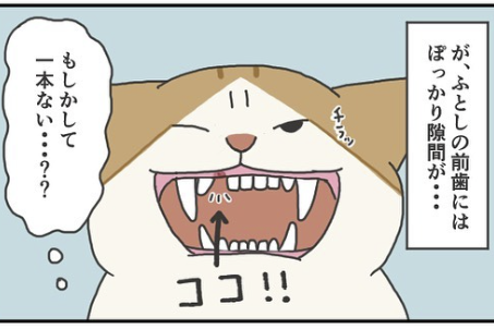 【漫画】第115話：「前歯にぽっかりすき間が…」ニャンコの歯茎が赤くなっていることに心配【ふとしくん】