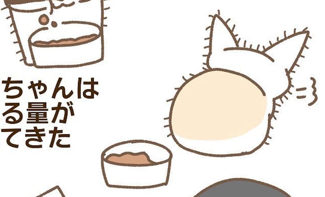 【漫画】第98話：全然食べない…。入院の危機が迫る小さな子猫ちゃん【ちゃん五郎ちゃん】