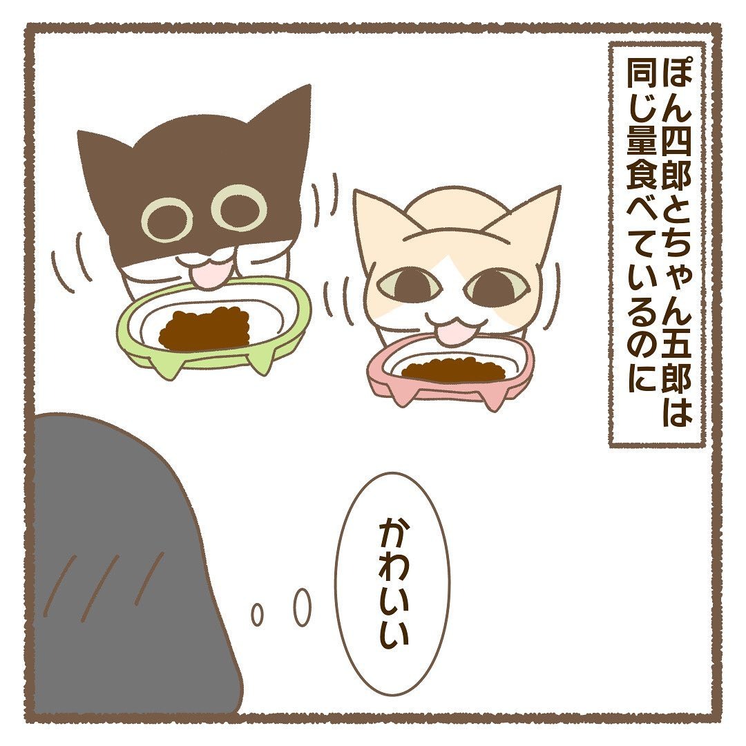 猫　食べる　漫画