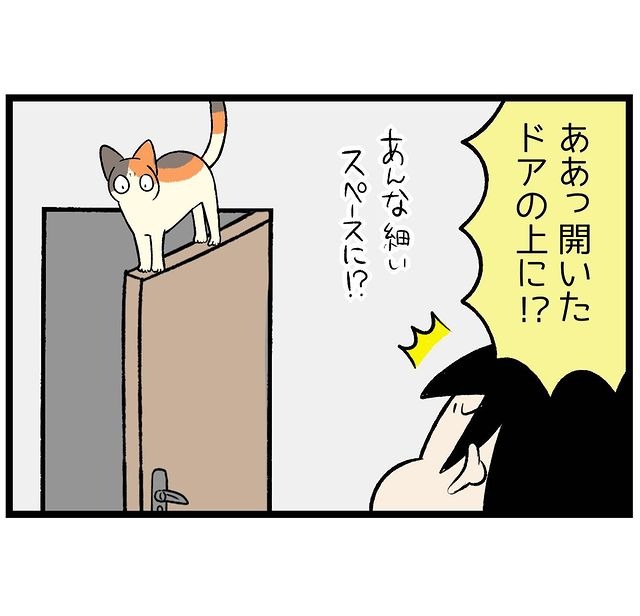 猫　登る　漫画