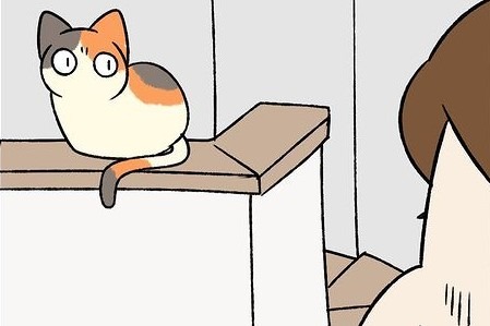 【漫画】第233話：飼い主さんは毎日ハラハラ…！階段の手すりに登りたがる猫さん【たんぽぽちゃん】