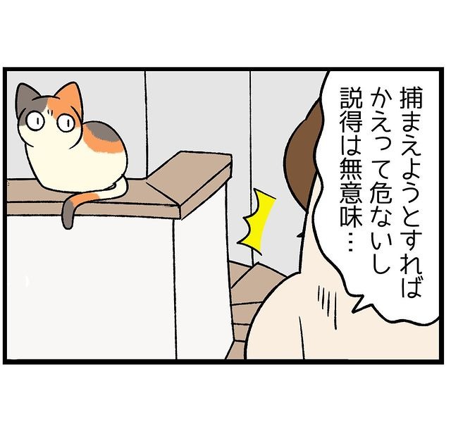 猫　乗る　漫画
