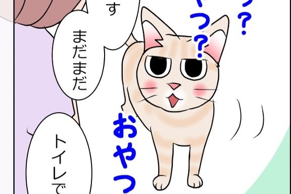 【漫画】第4話：トイレに行くだけだよ…。目が合うとおやつがもらえると勘違いする猫さん【麦くん】