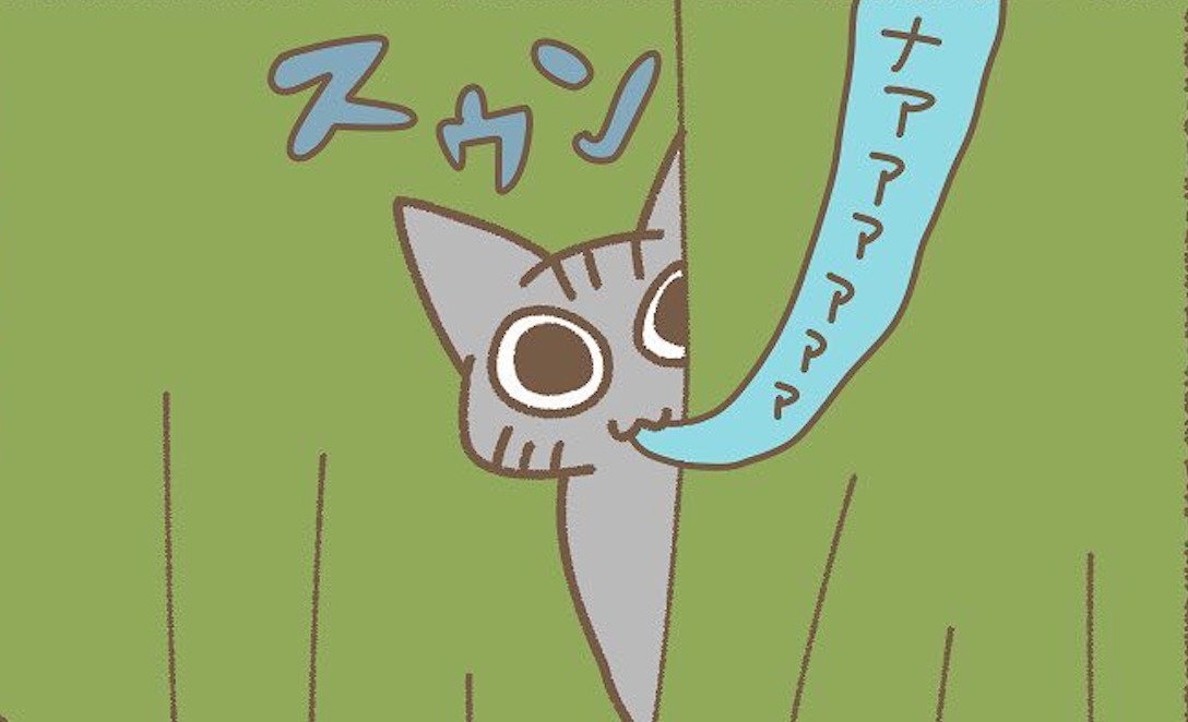 【漫画】第123話：どこにいるニャン？末っ子猫を探し回る先輩猫ちゃんにキュン【あん三郎ちゃん】