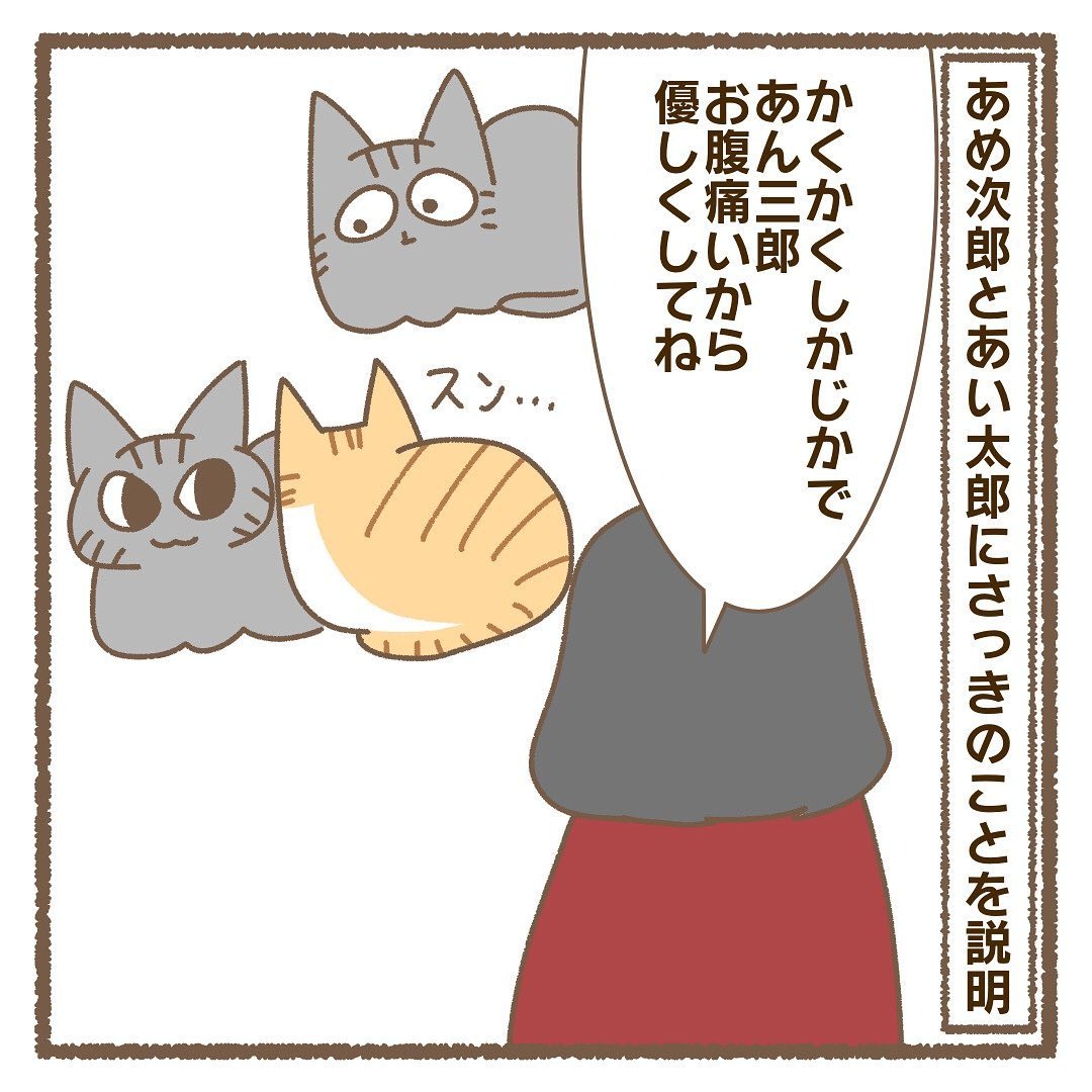 猫　説明される　漫画