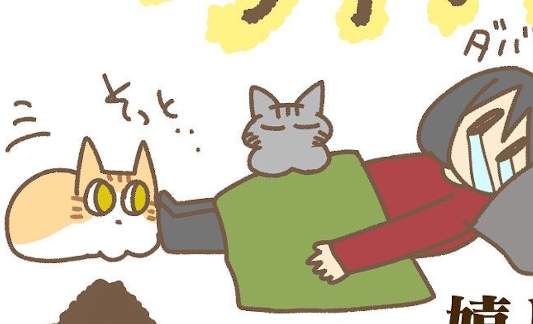 【漫画】第132話：やっと戻った♡ようやく近寄ってくれるようになった猫ちゃん【あん三郎ちゃん】