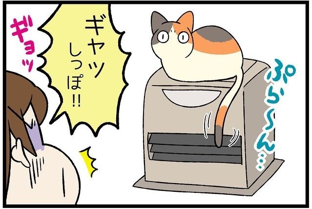 【漫画】第241話：飼い主さんはハラハラ！温風ストーブの前にしっぽを垂らす猫さん【たんぽぽちゃん】