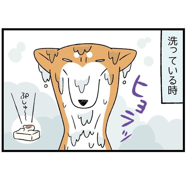犬　しぼむ　漫画