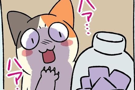 【漫画】第246話：「楽しすぎるニャ！」瓶詰めのお菓子を狙うニャンコに爆笑！【たんぽぽちゃん】