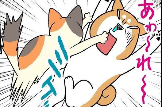 【漫画】第250話：大物ゲット！柴犬のお姉ちゃんを狩りの獲物にするニャンコ【たんぽぽちゃん】