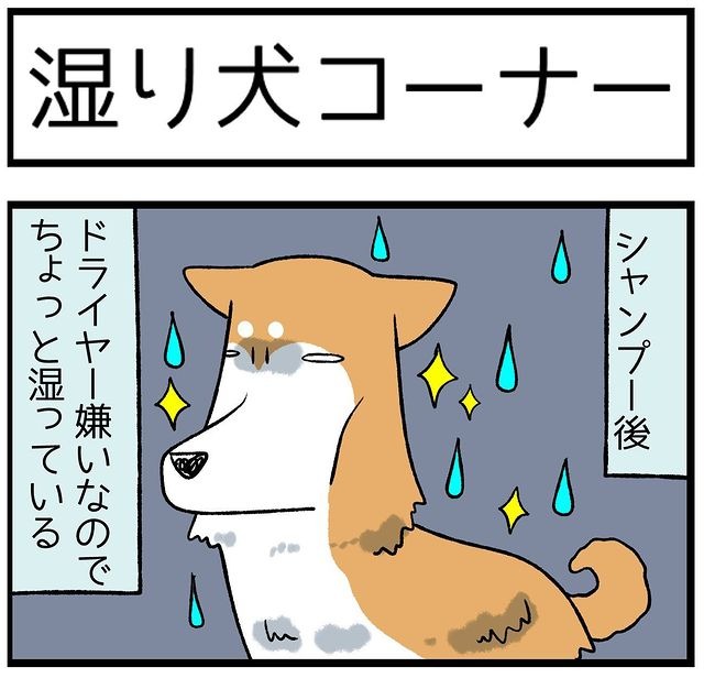 犬　シャンプー　漫画