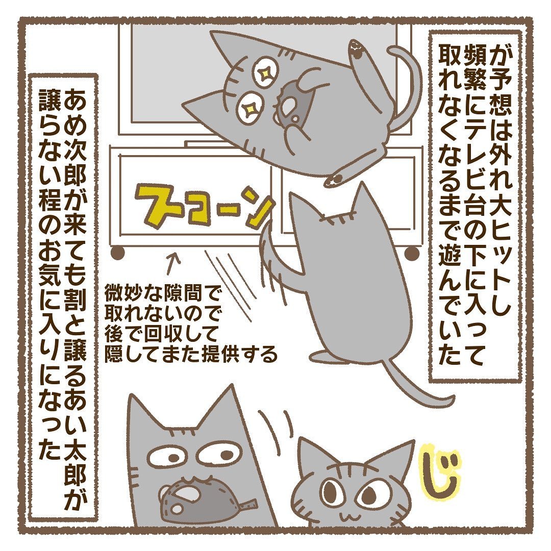 猫　気に入る　漫画