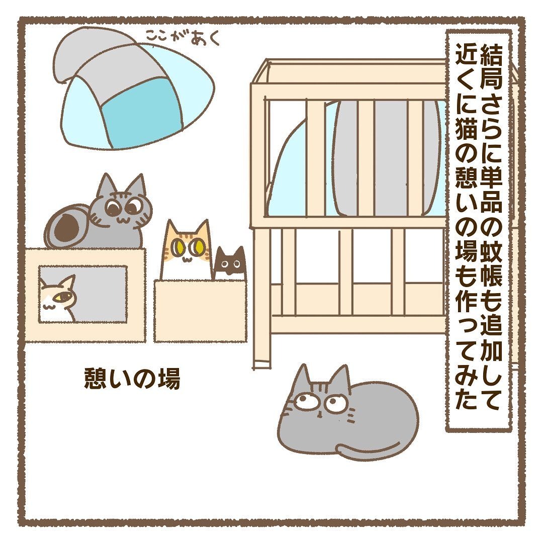 猫　憩いの場　漫画
