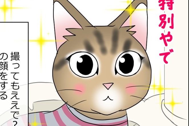 【漫画】第8話：“キメ顔”がかわいい♡自分のベストアングルを熟知している猫さん【あんこちゃん】