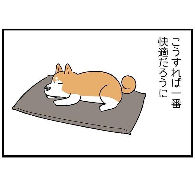 犬　クッション　漫画
