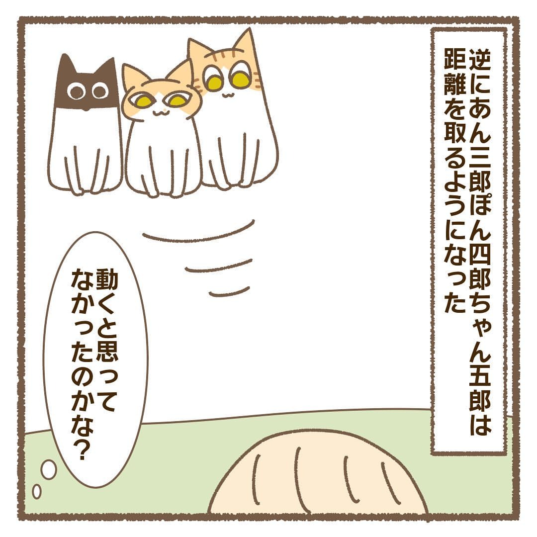 猫　遠ざかる　漫画