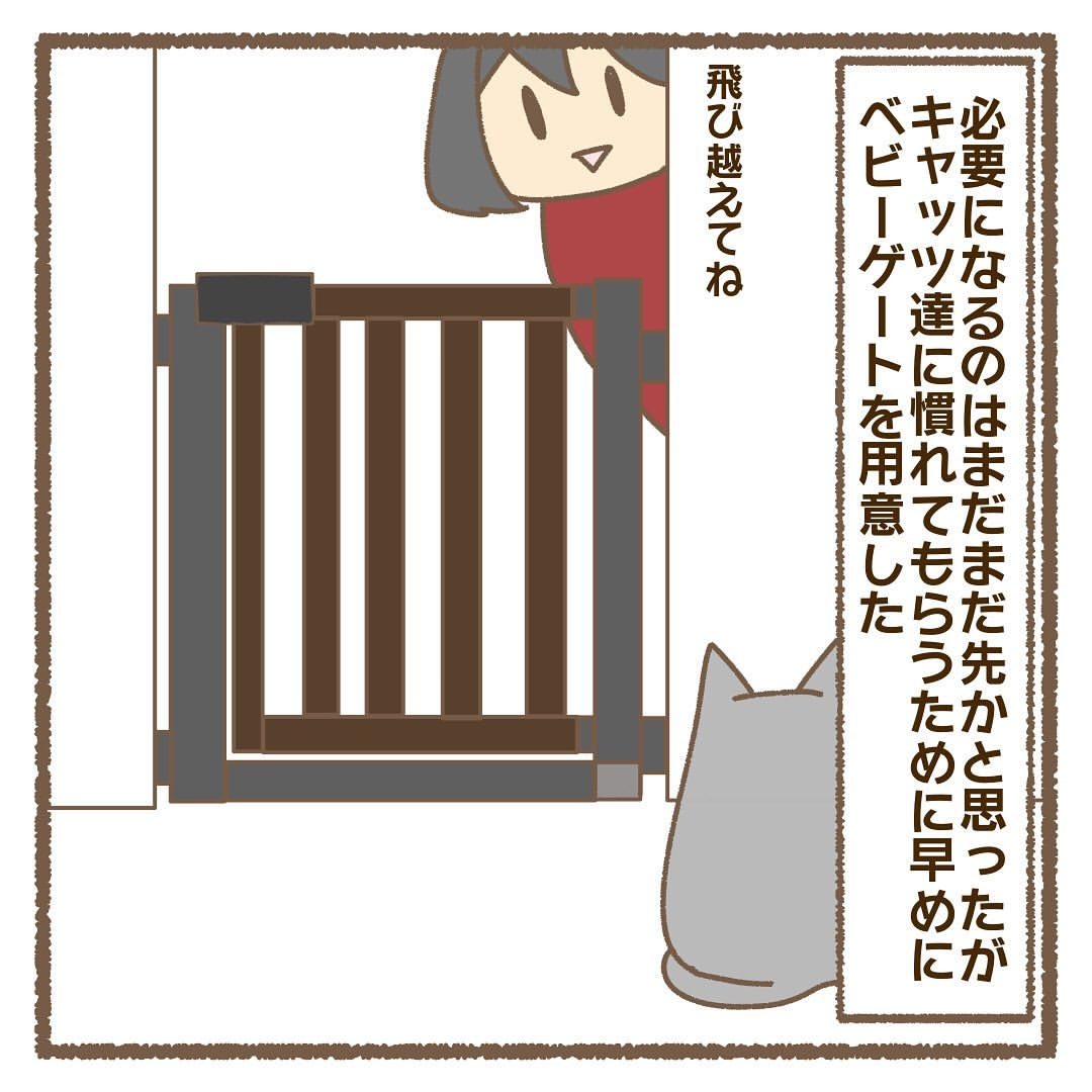 猫　ゲート　漫画