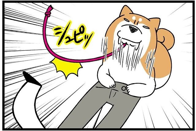 【漫画】第269話：「これで解決だワン！」ズボンの紐を引っ張り出す柴犬さん【どんぐりちゃん】