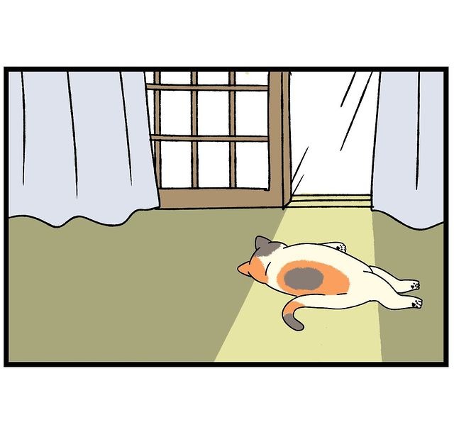 猫　日向ぼっこ　漫画