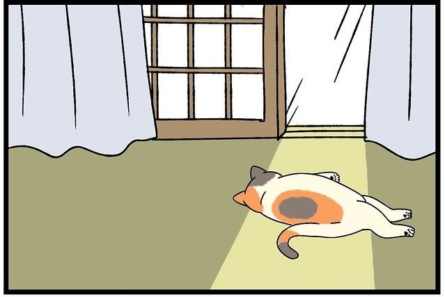 【漫画】第273話：「お日様逃げないで〜」日向を追いかけて昼寝する猫さん【たんぽぽちゃん】