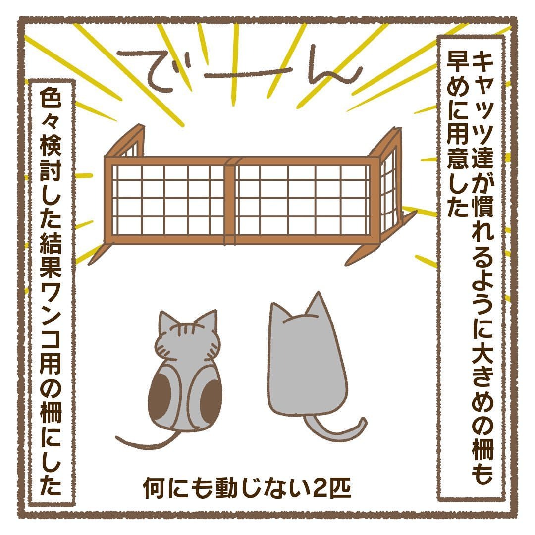 猫　柵　漫画