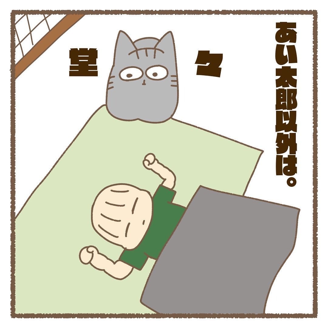 猫　堂々　漫画